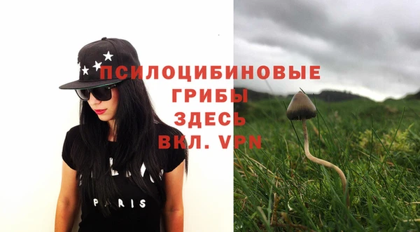 ECSTASY Покров