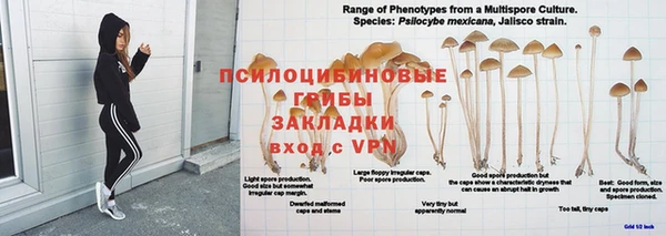 Альфа ПВП Покровск