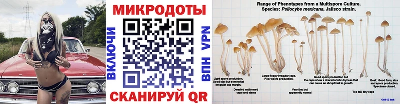 Галлюциногенные грибы мицелий  hydra как зайти  Дмитровск 